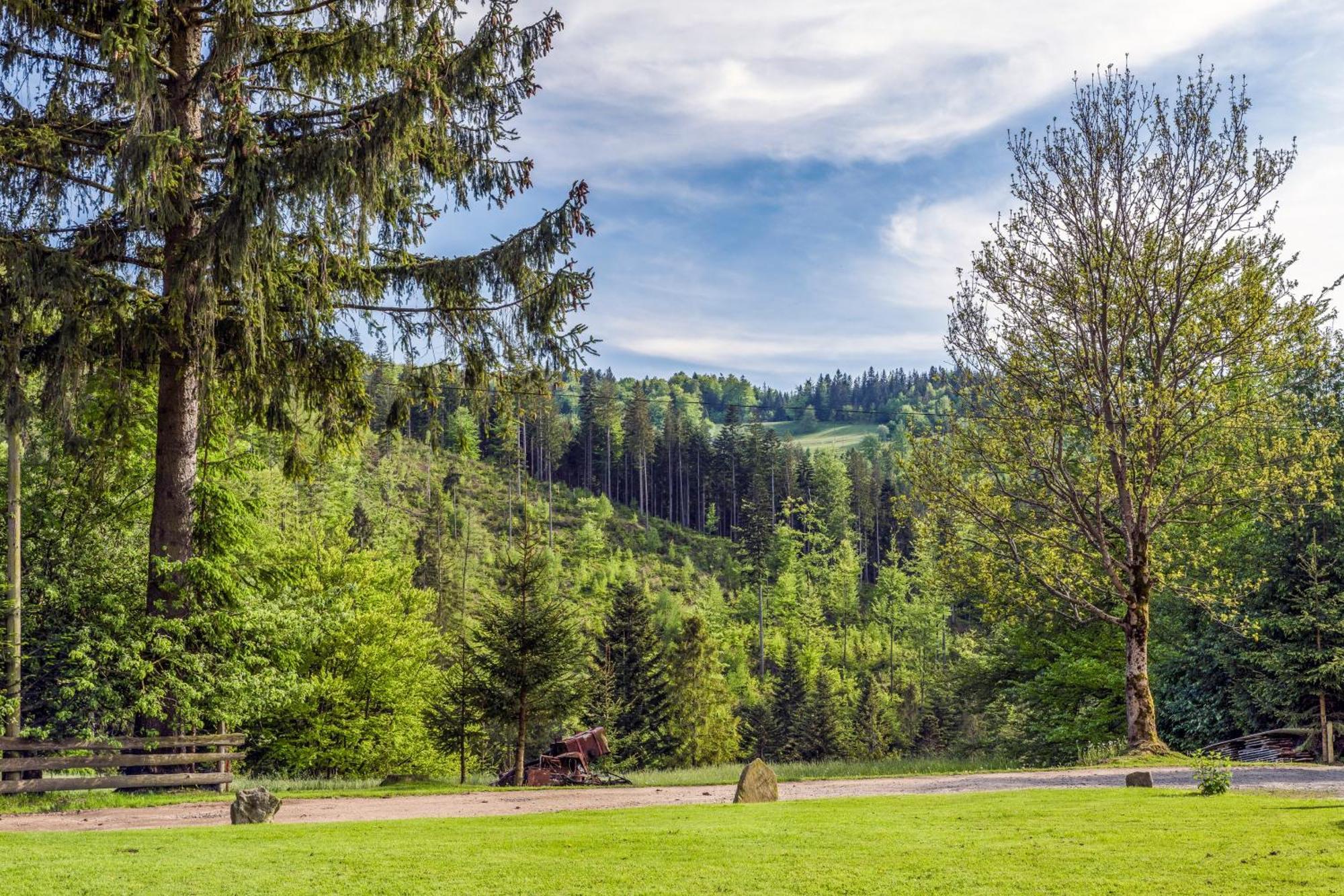 Pokoje U Marioli Wisła Exterior foto